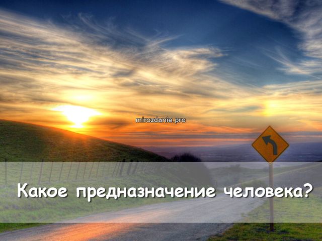 Какое основное предназначение у человека в жизни